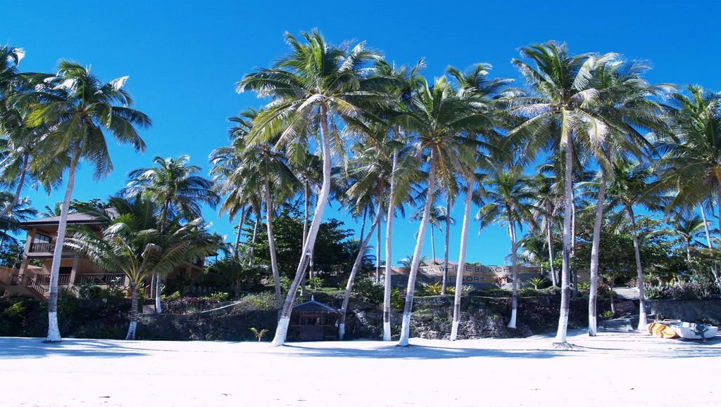 Anda White Anda (Visayas)
