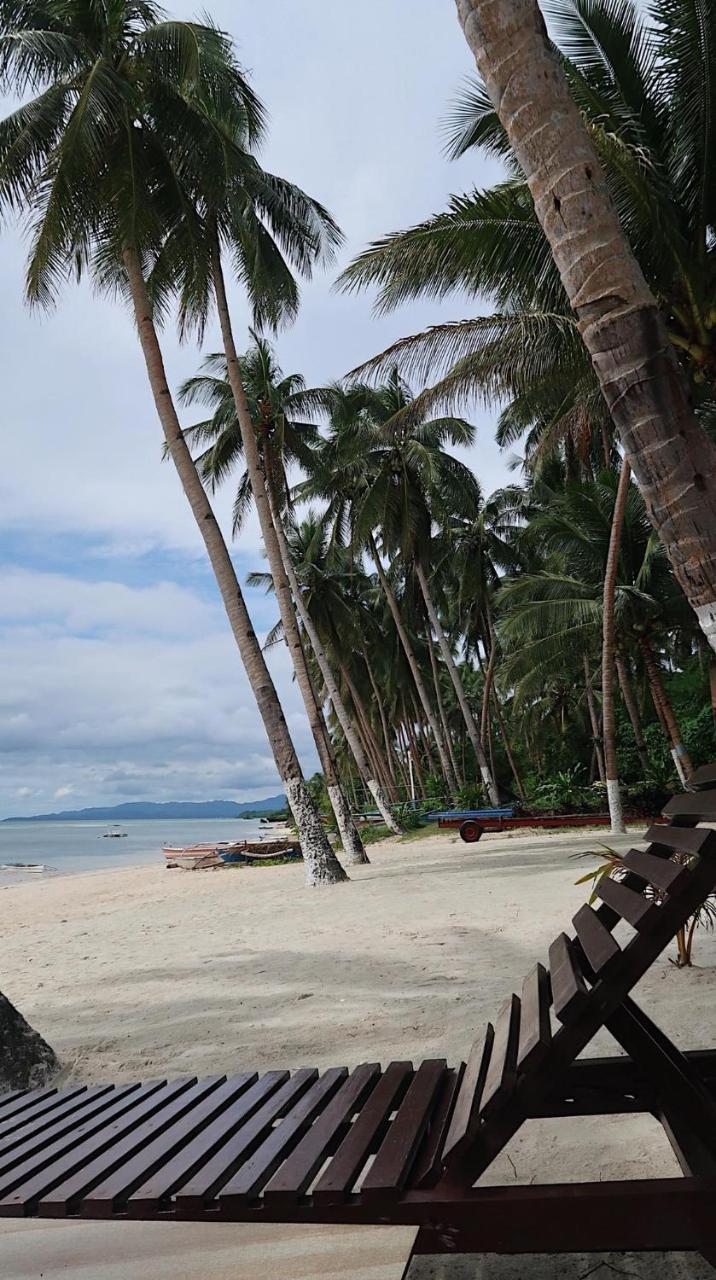 Resort Anda White Anda (Visayas)