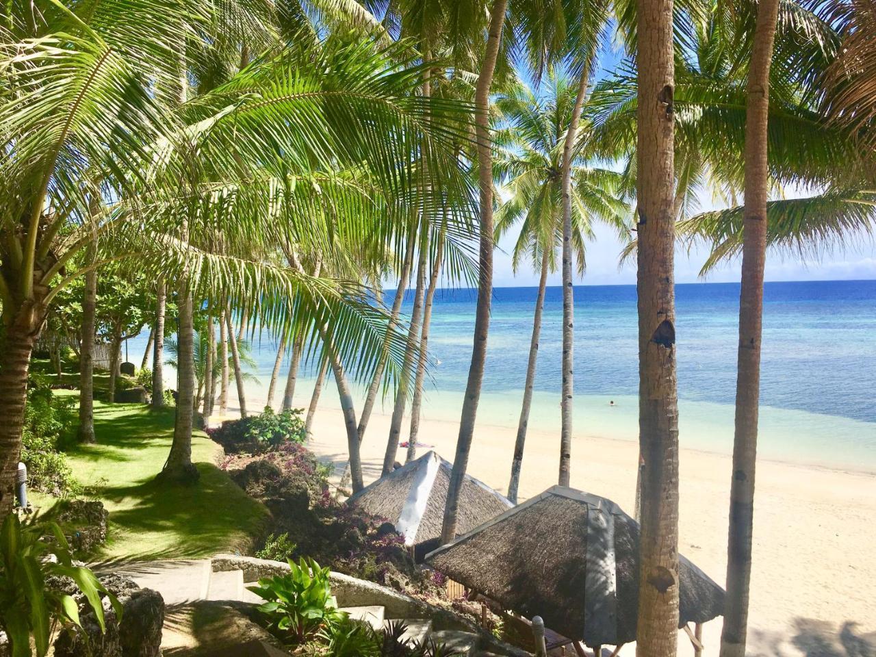 Anda White Anda (Visayas)